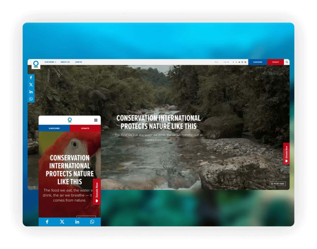 Web Design for Nonprofits - Conservation International