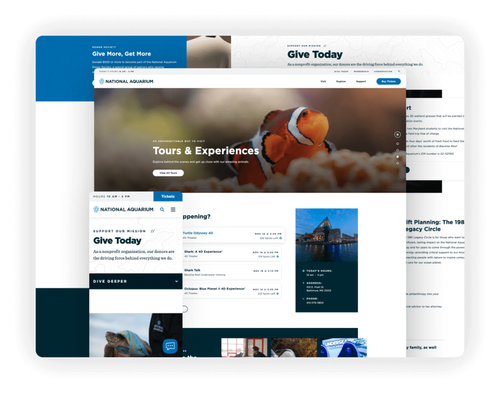 Nonprofit Web Design - The National Aquarium 