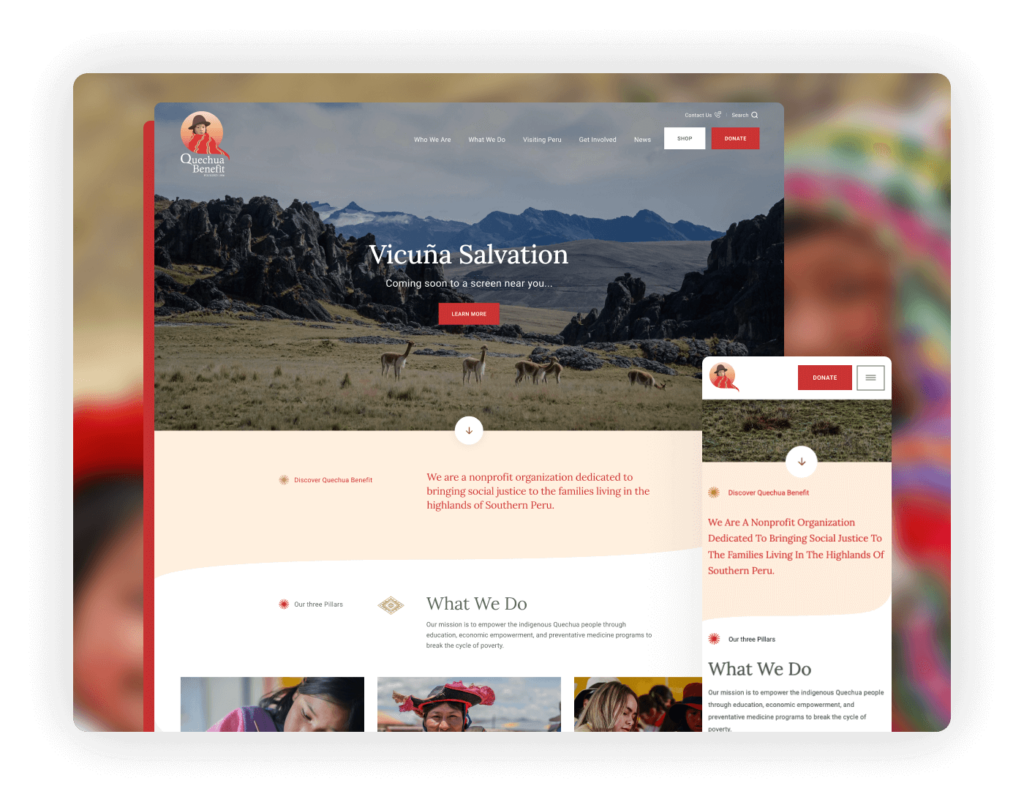 Best Nonprofit Website - Quechua Benefit