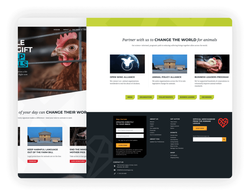 Web Design for Nonprofits - The Humane League