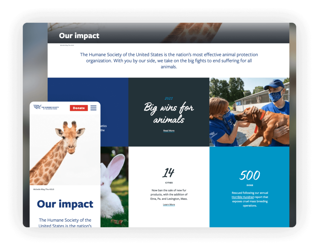 Best Nonprofit Websites - Humane Society