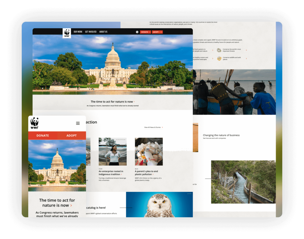 Website Design for Nonprofits - WWF